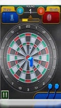 Master Darts Pro Image