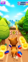 Pet Run - Puppy Dog Run Game Image