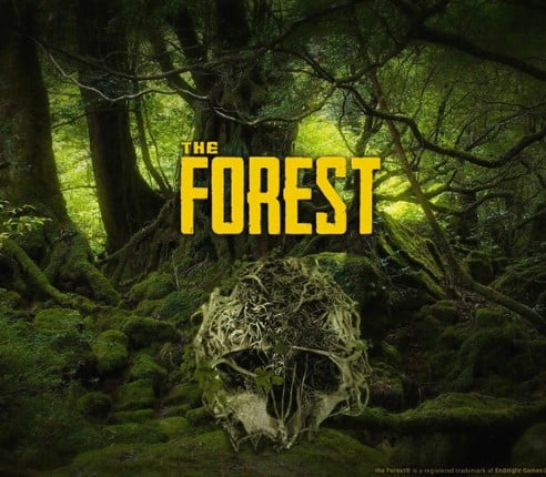The Forest Image