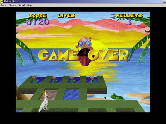 3D Ms. Maze: Tropical Adventures Image