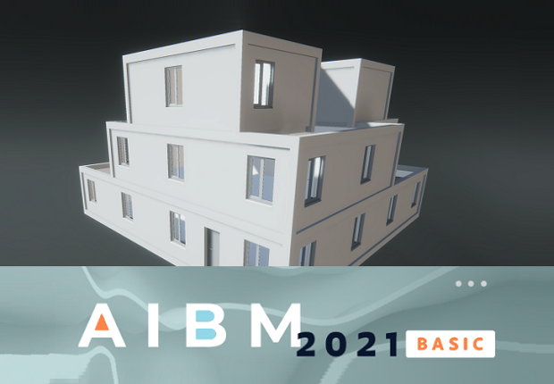 AIBM 2021 BASIC Game Cover