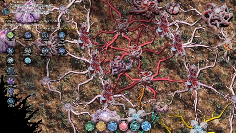 Mycelium Conquest: Mitosis Image
