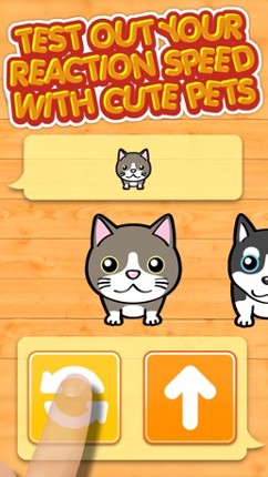 Neko &amp; Doggie Dojo - My Dear Mini Smart Pets Choice Games screenshot