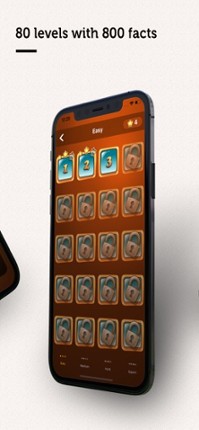 True or False? - Bible Quiz screenshot