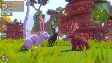 Adventure Forest: Rabbit Story Image