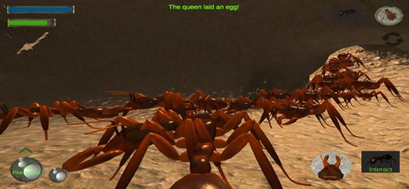 Ant Simulation Full screenshot