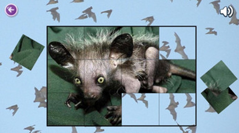 Mouse Puzzles Image