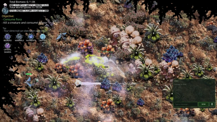 Mycelium Conquest: Mitosis Image