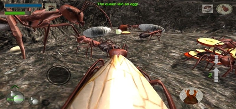 Ant Simulation Full screenshot