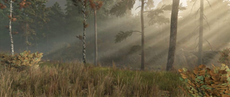 FS25 Ever Green Coast Image