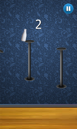 Flappy Bottle Image