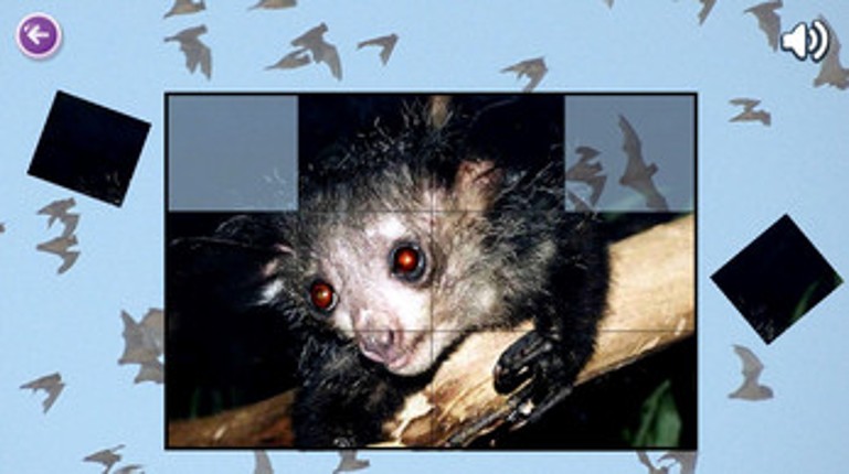 Mouse Puzzles Image