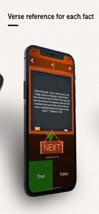 True or False? - Bible Quiz screenshot