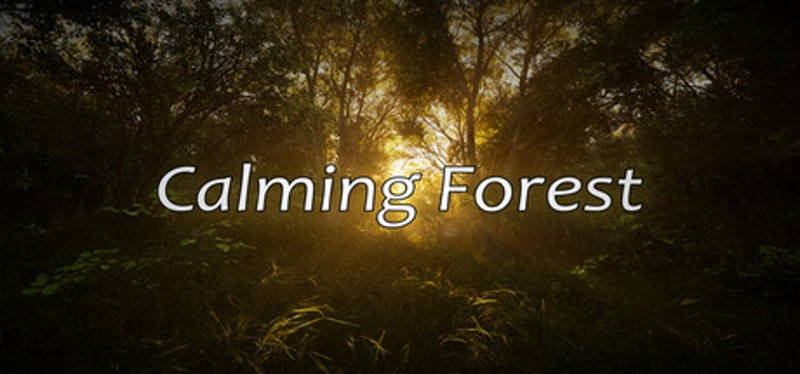 Calming Forest Image