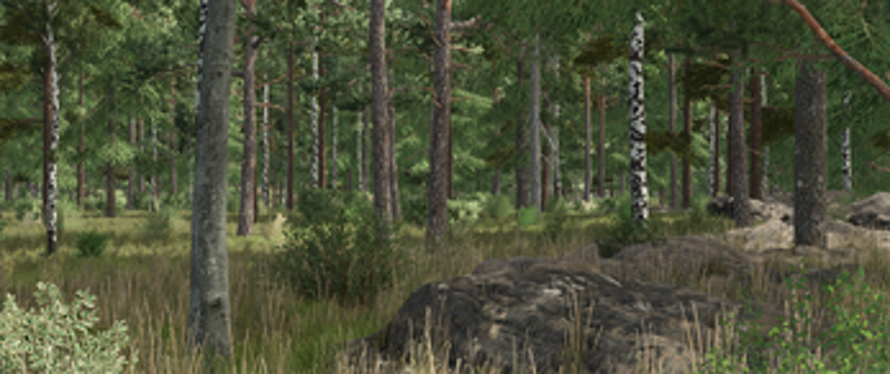 FS25 Ever Green Coast Image