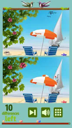 Find 10 Differences Image