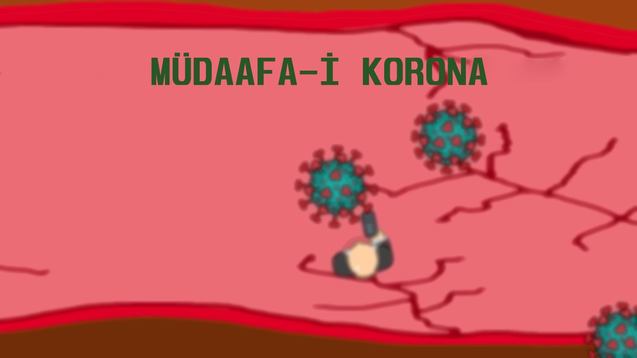 Games like Müdafa-i Korona