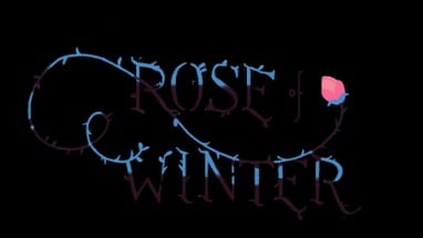 Rose of Winter Image