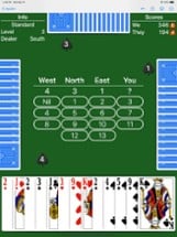 Spades - Expert AI Image