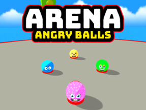 Arena Angry Balls Image