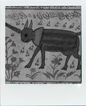 Bibliomancie, saison 2 - Les Mathémythiciens - Un Mythe pour la route screenshot