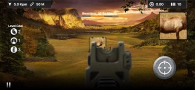 Deer Target Shooting Image