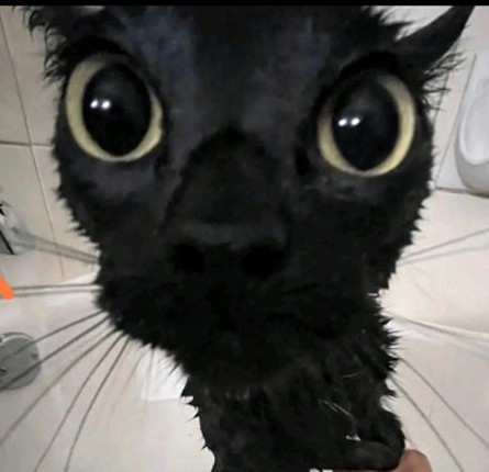 Gorilla tag horror modded by real (READ DESC) Image