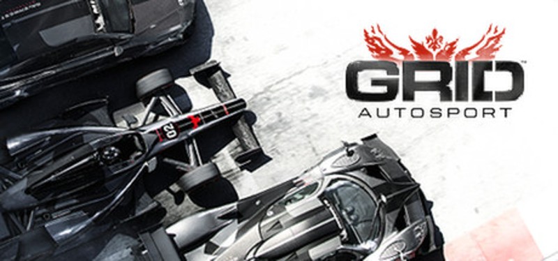 GRID Autosport Image