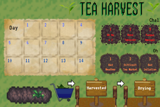 Tea Harvest Image