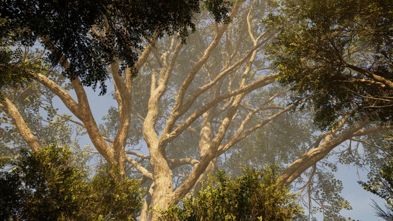 Calming Forest screenshot