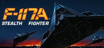 F-117A Stealth Fighter Image