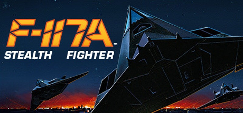 F-117A Stealth Fighter Image