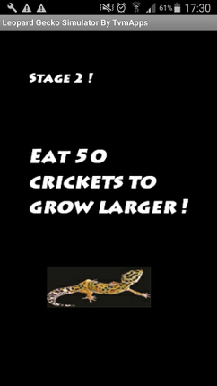 Leopard Gecko Simulator Image