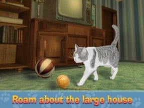 House Cat City Survival Sim Image