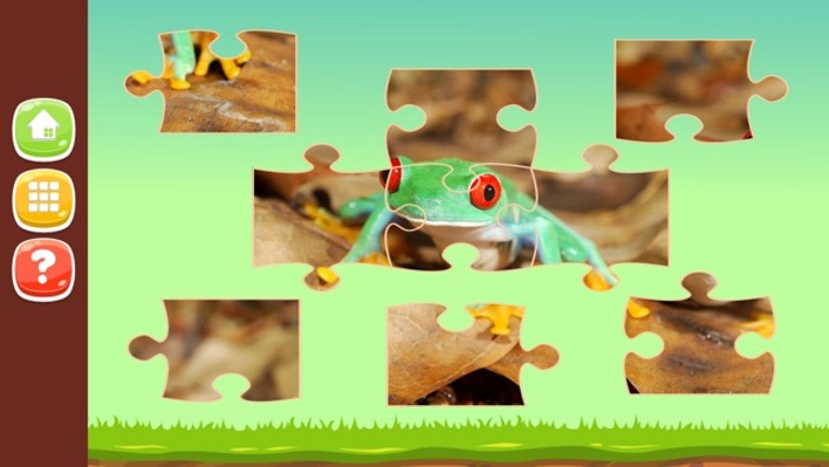 Animal Photo Jigsaw Puzzle Games HD Image