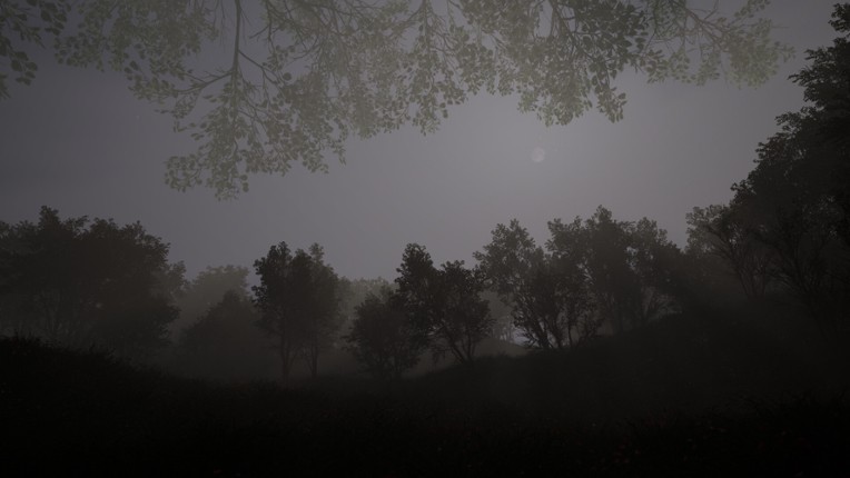 Calming Forest screenshot