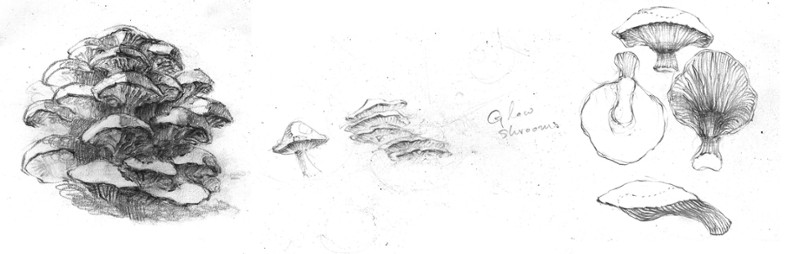 Dungeons'n'Disco screenshot