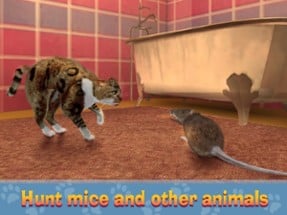 House Cat City Survival Sim Image