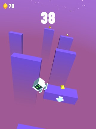 Sliding Floors Image