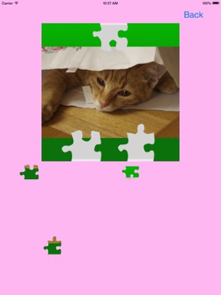 Cat's Jigsaw Puzzles screenshot