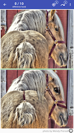 Find The Difference - Spot It screenshot