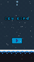 Icy Bird Image