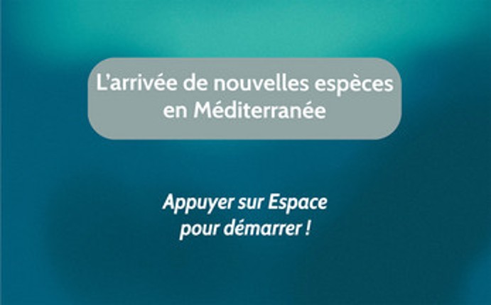 L'arrivée de nouvelles espèces en Méditerranée screenshot