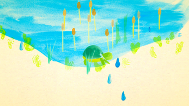 The Little Turtle Image