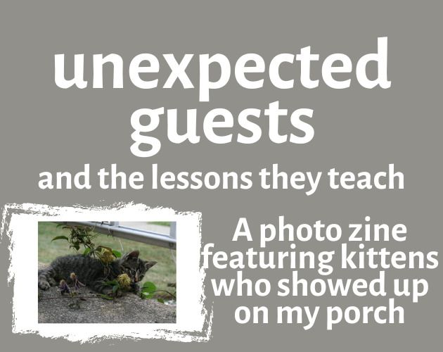 Games like unexpected guests