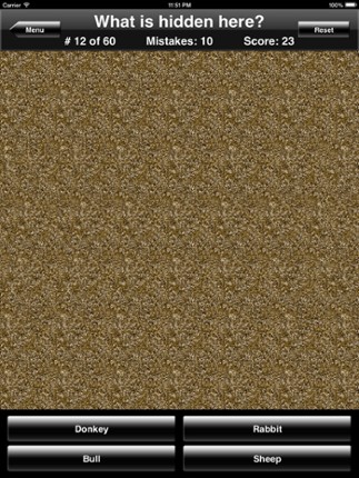 Magic Eye Stereogram Quiz Image
