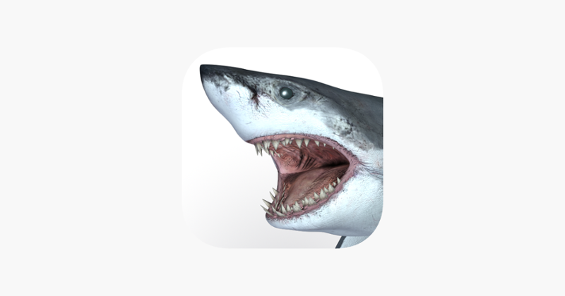 Talking Great White : My Pet Shark Game Cover