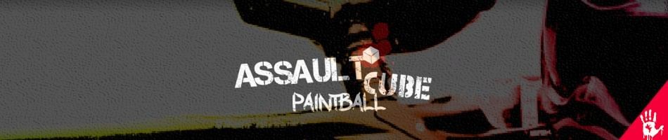 Games like AssaultCube Paintball