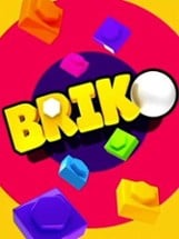 Briko Image