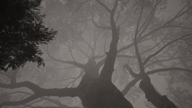 Calming Forest screenshot